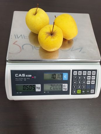 Balanca CAS 30kg com comunicacao Pc