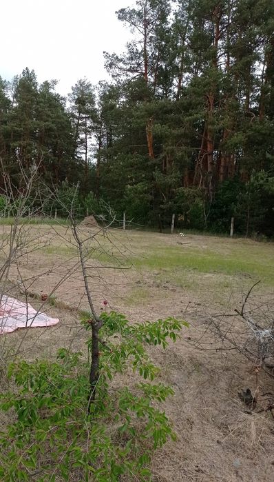 Ділянка 0,12 га с. Пристанційне