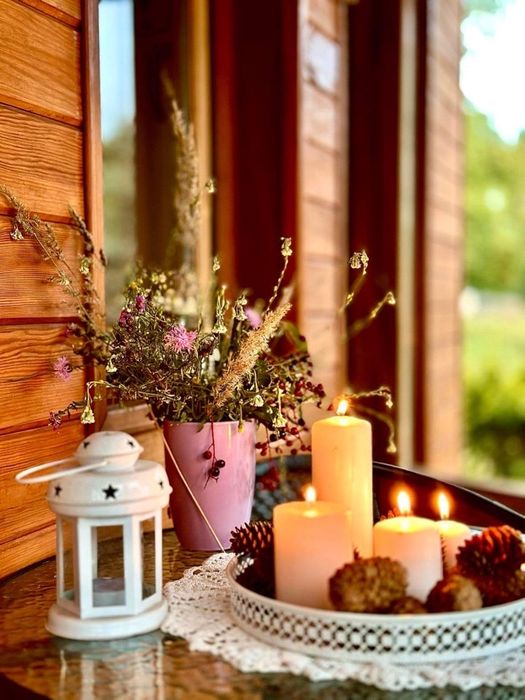 Wynajmę domek w otulinie lasu (klimatyzowany)