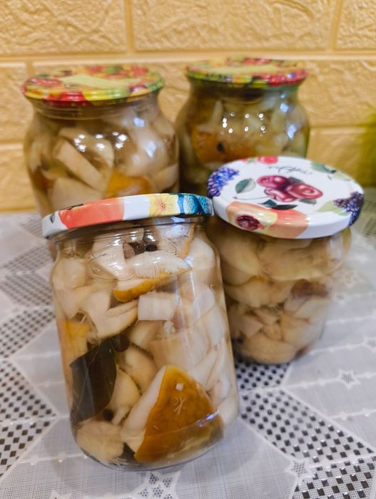 Гриби консервовані,Білі,польські,маслята