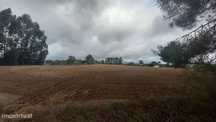Terreno Rustico com 27250 m2 Lardosa