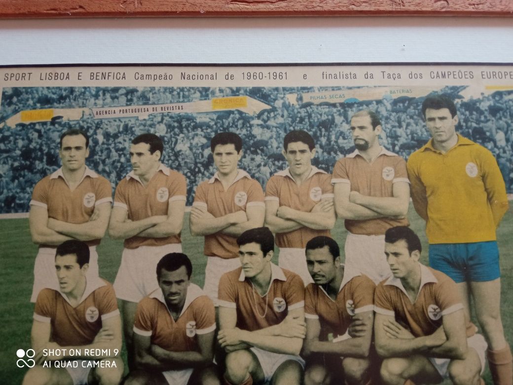 Quadro Benfica anos 60