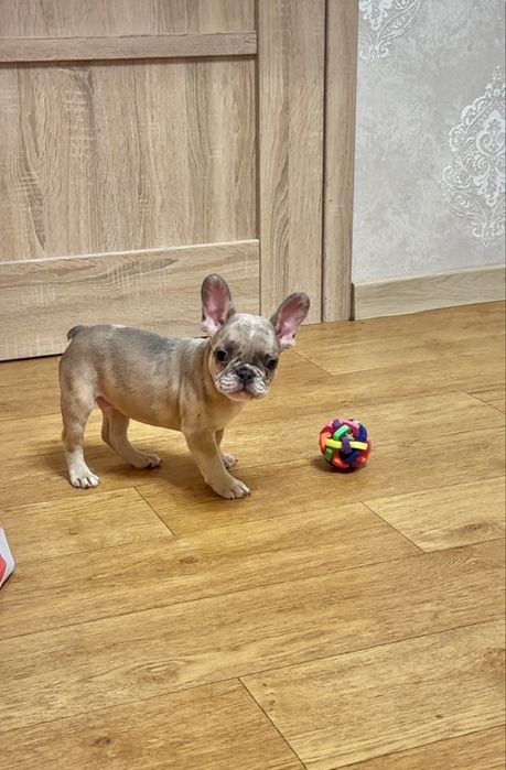 Малята готові до переїзду