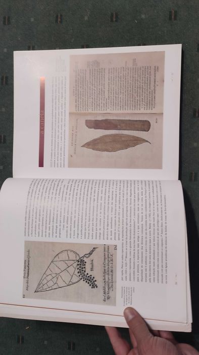 A Viagem dos Sabores - Rui Rocha