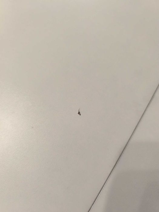 Sprzedam PILNIE stół biało-szary
