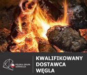 Polski węgiel: kostka, orzech - Mysłowice-Wesoła, Piast, Ziemowit inne