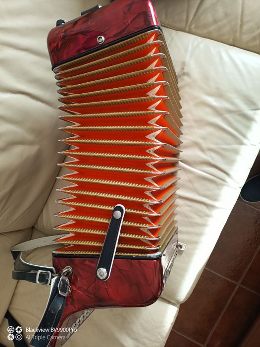 Maravilhosa Concertina  Honer com mala