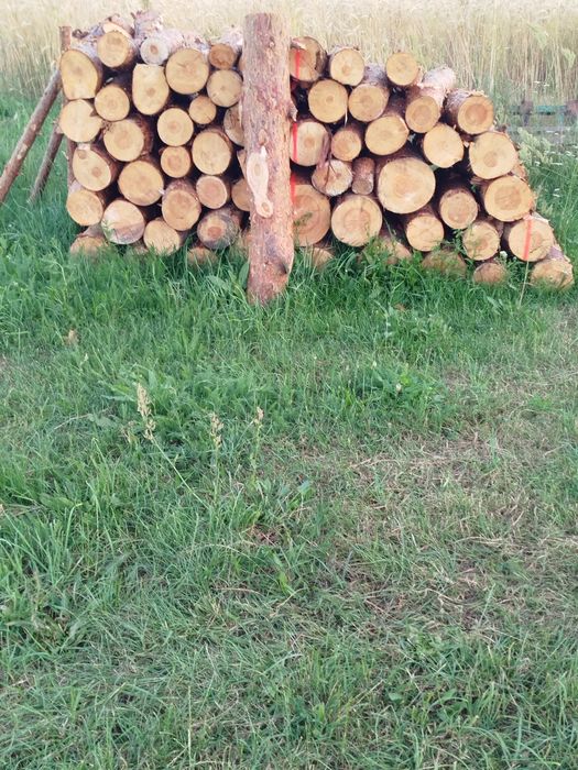 Drewno opałowe sosnowe