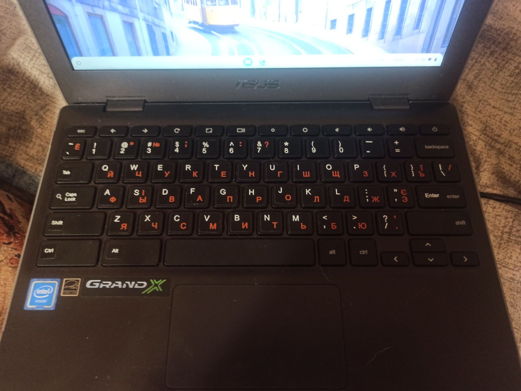 Chromebook Asus C204E 11,6 N4000 4gb DDR4 16gb ssd Play Market