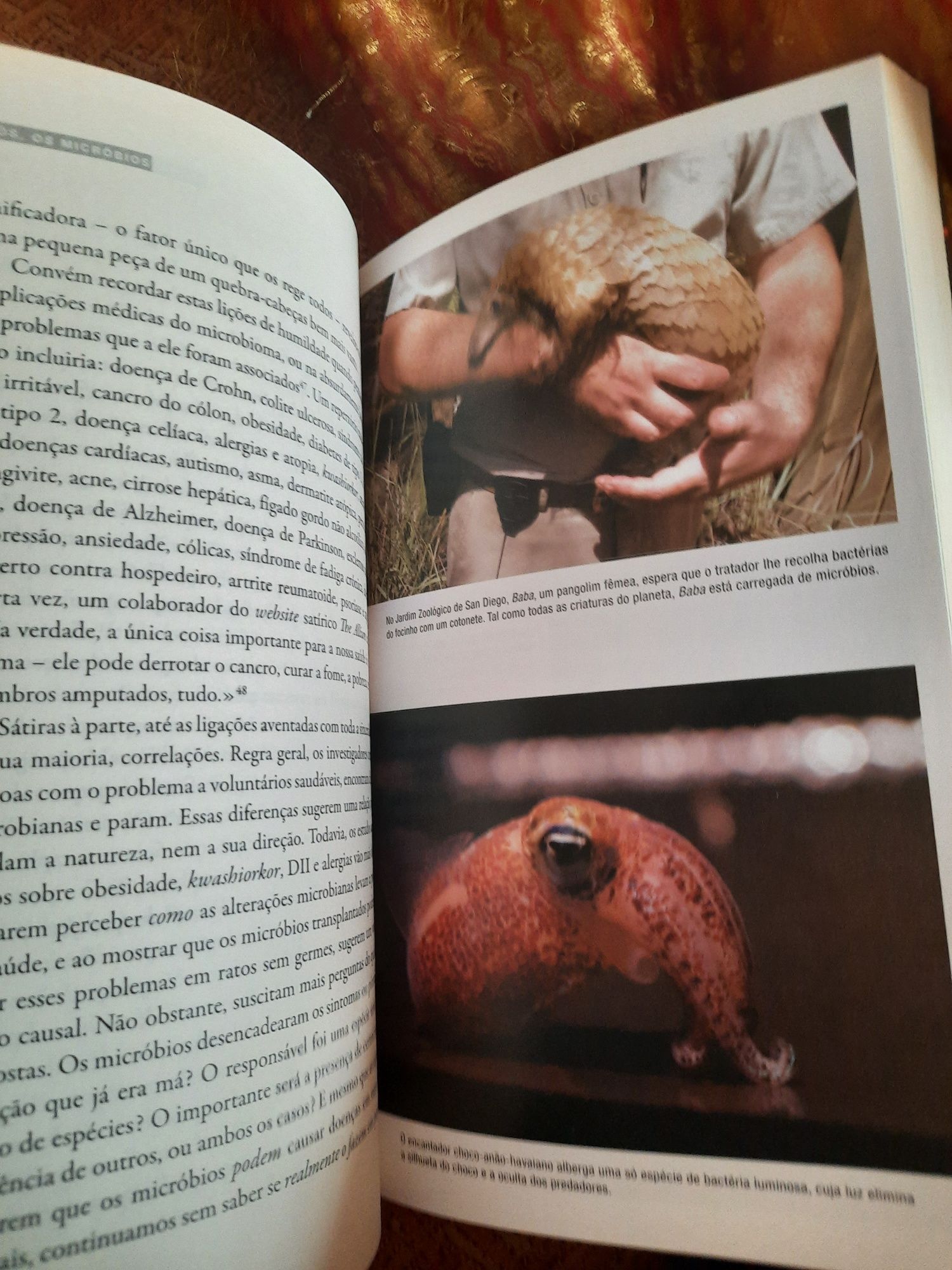 Nós, os micróbios  e uma visão alargada da vida