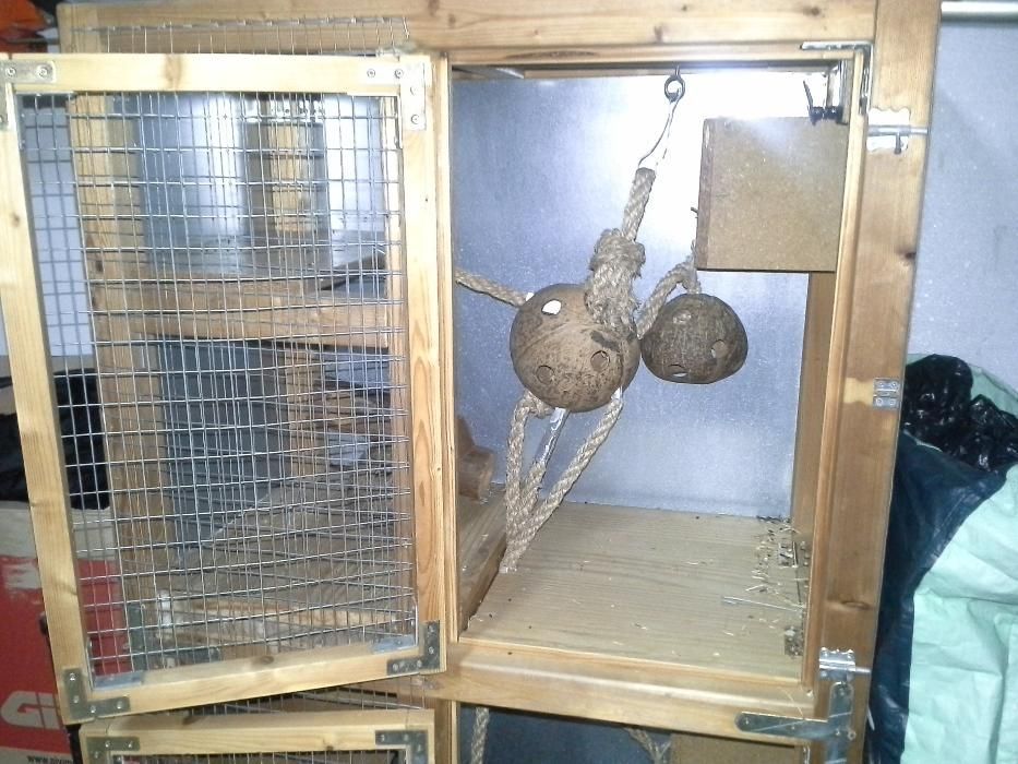 Gaiola para Esquilos