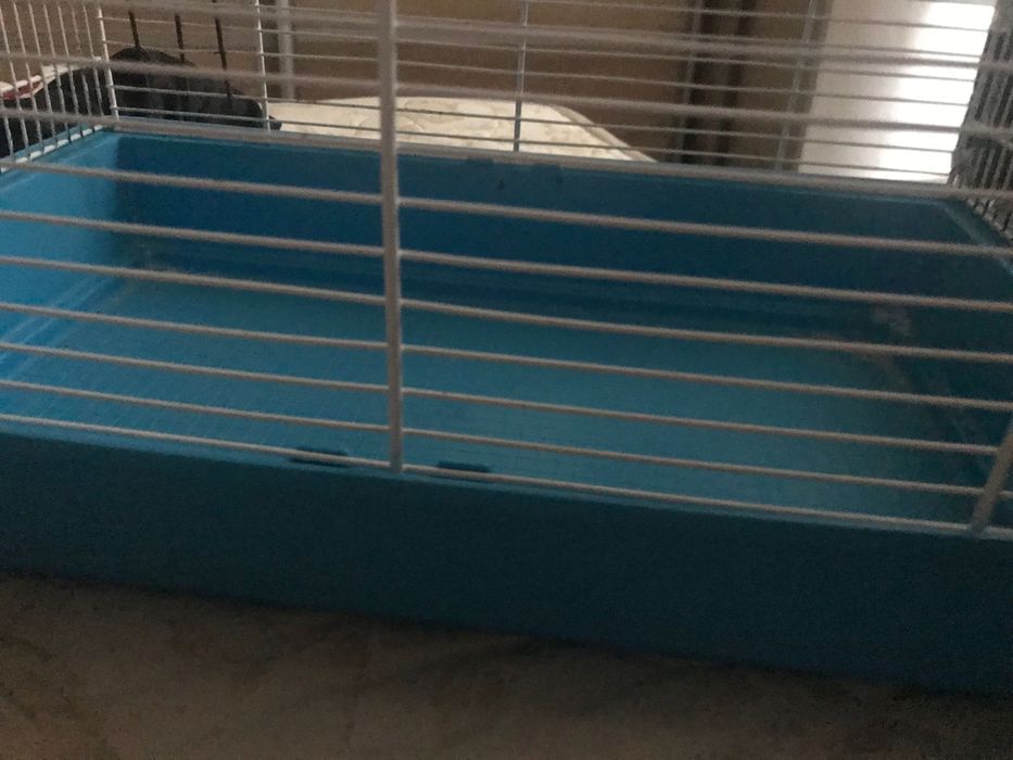 Клітка для гризунів