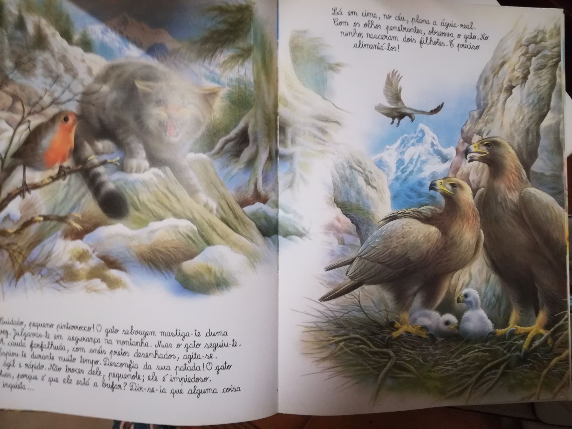 Livro O Mundo dos Animais