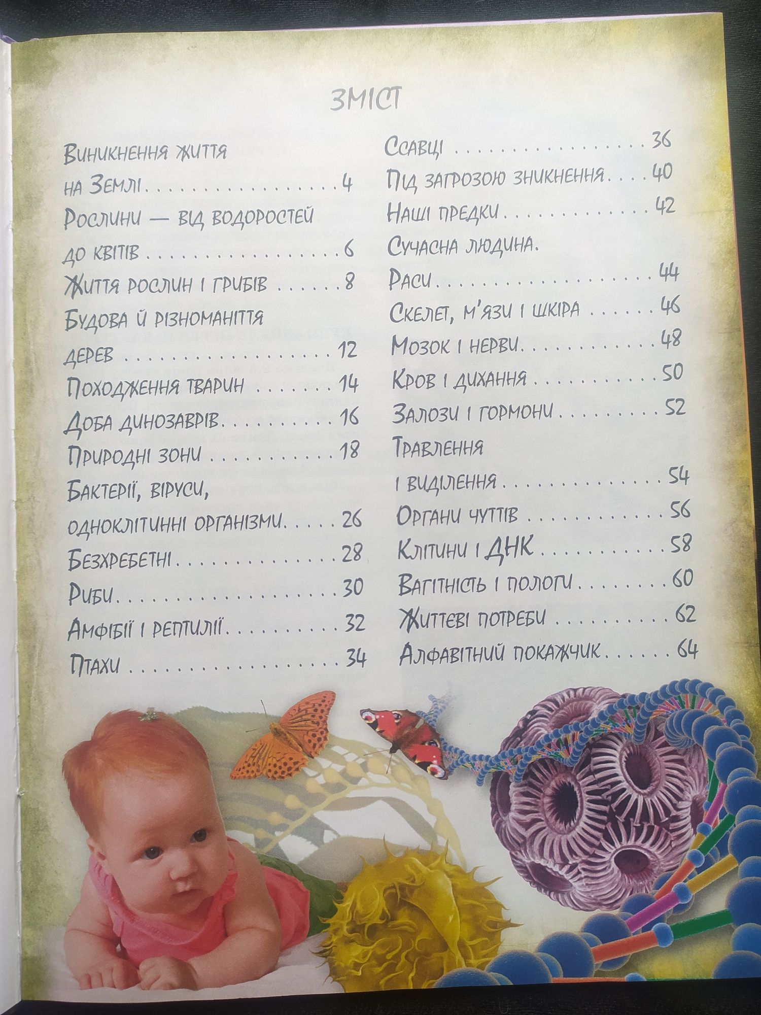 Людина і природа.