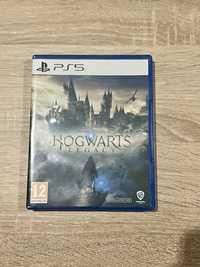 Jogo Hogwarts Legacy - PS5 (Única em Português-BR)
