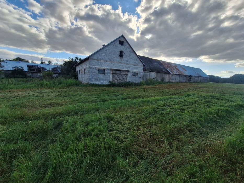 Siedlisko z domem Czepiele