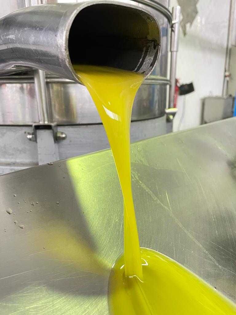 Azeite virgem extra biológico certificado