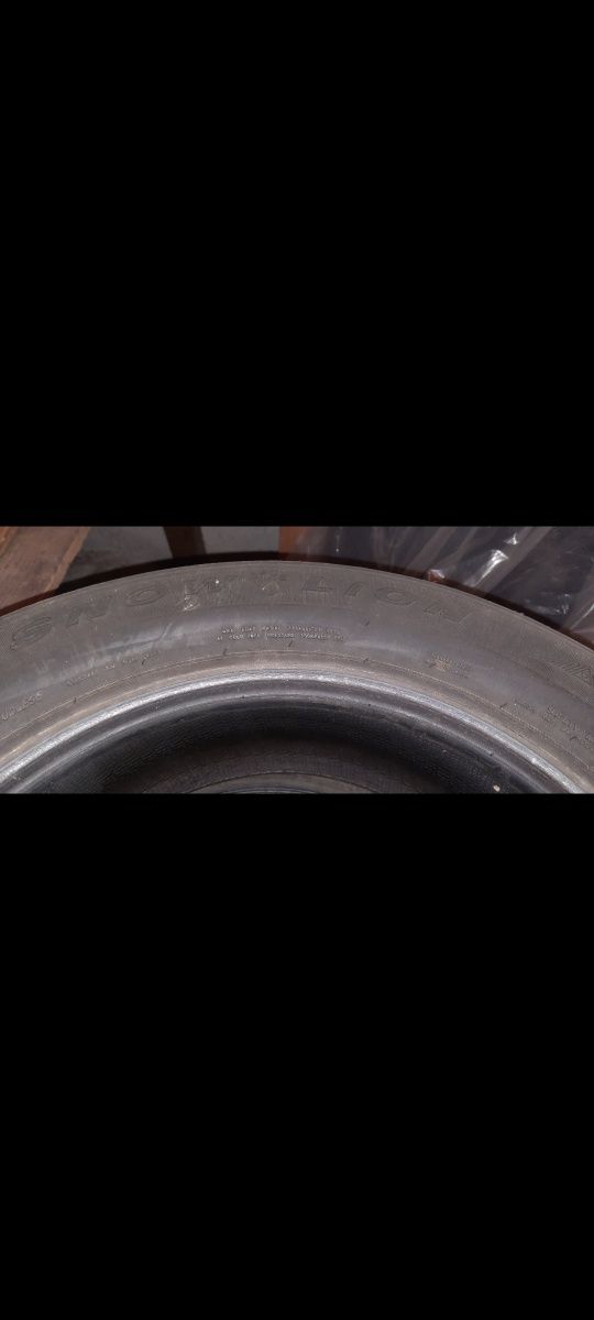 Opony zimowe 225/60 R17 TRIANGLE SNOW LION