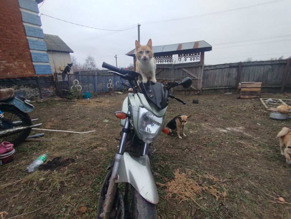 Продам мотоцик vaiper vm 200 r-2