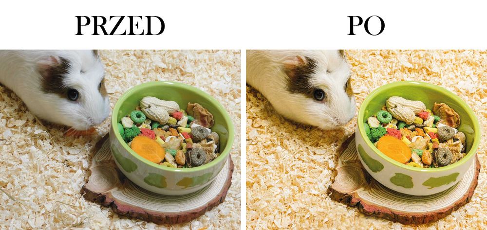 Logo | Social Media | Banery | Wizytówki | Retusz Zdjęć | Grafika