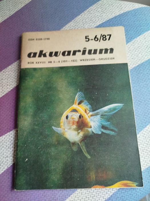Gazetka akwarium