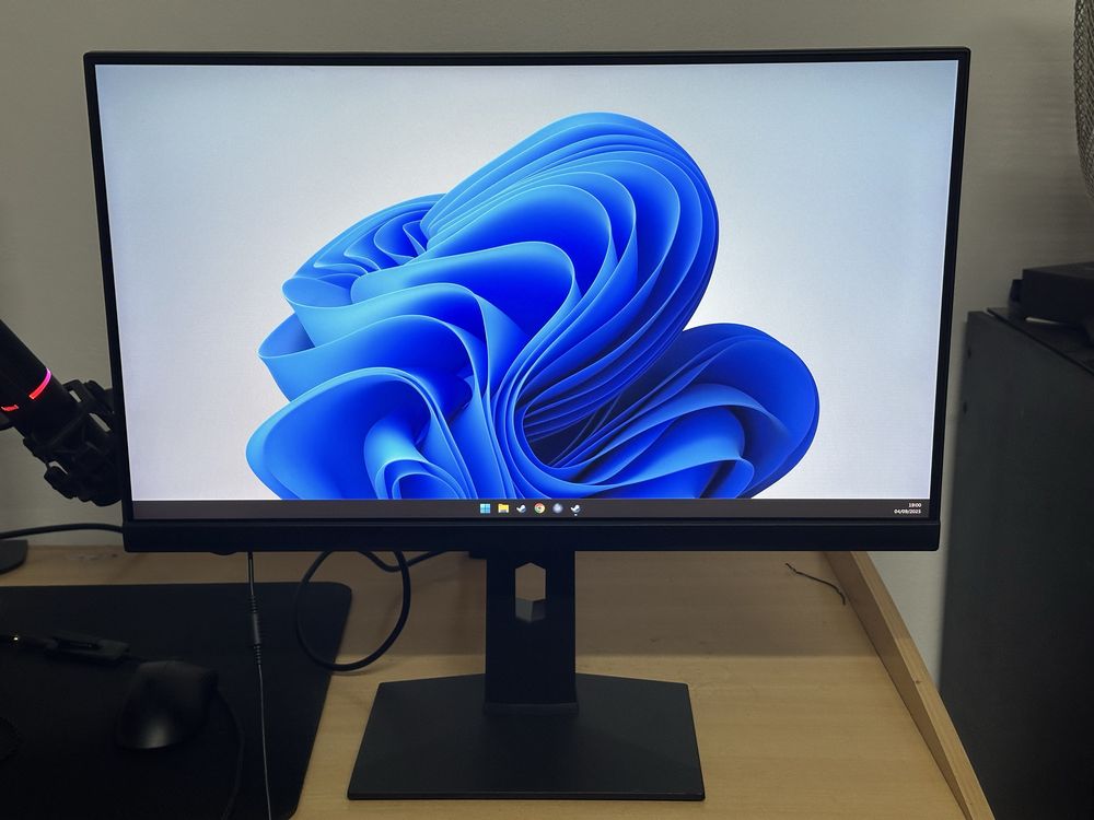 Monitor 240Hz MSI MAG251RX