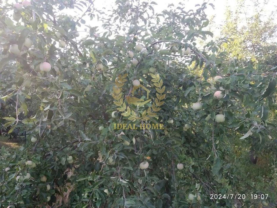 Продаж будинку с.Плесецьке