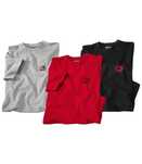 3 X Męska koszulka M bawełniana T-shirt zestaw R6007 ATLAS FOR MEN