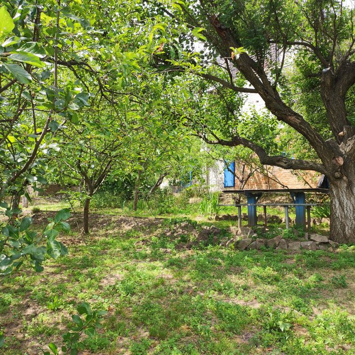 Продам будинок з земельною ділянкою