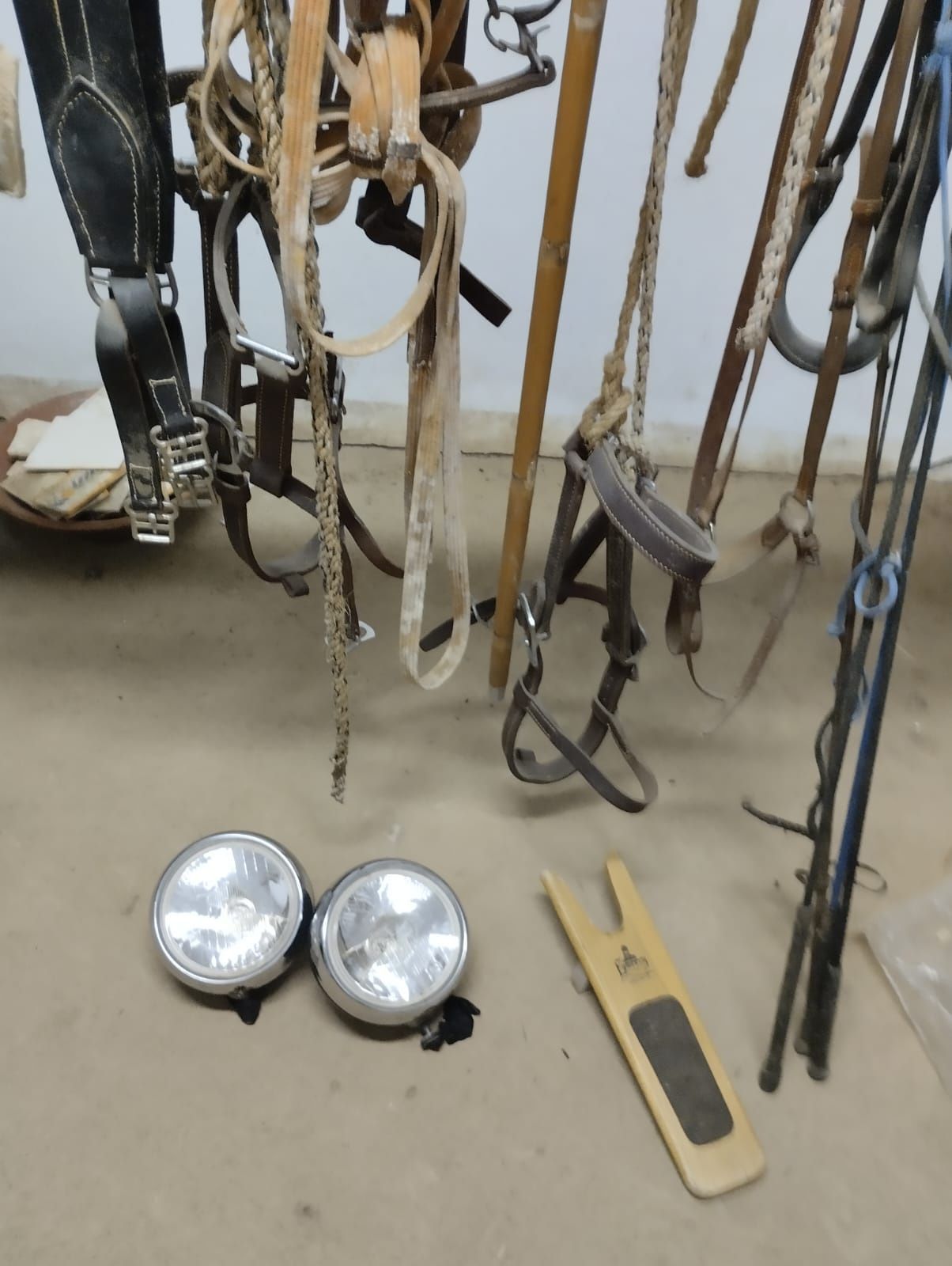 Vendo Matéria Equestre - MONTARIA