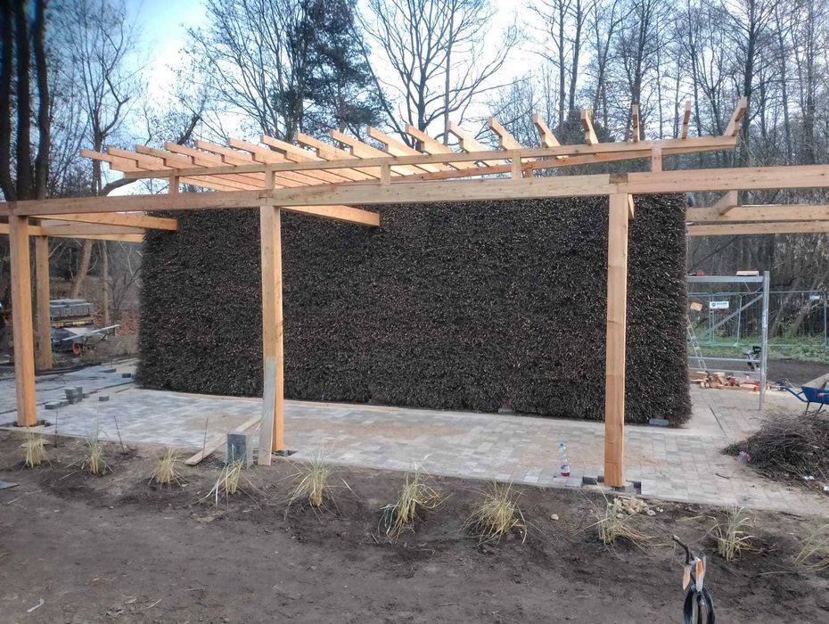 tężnia tarnina gałęzie