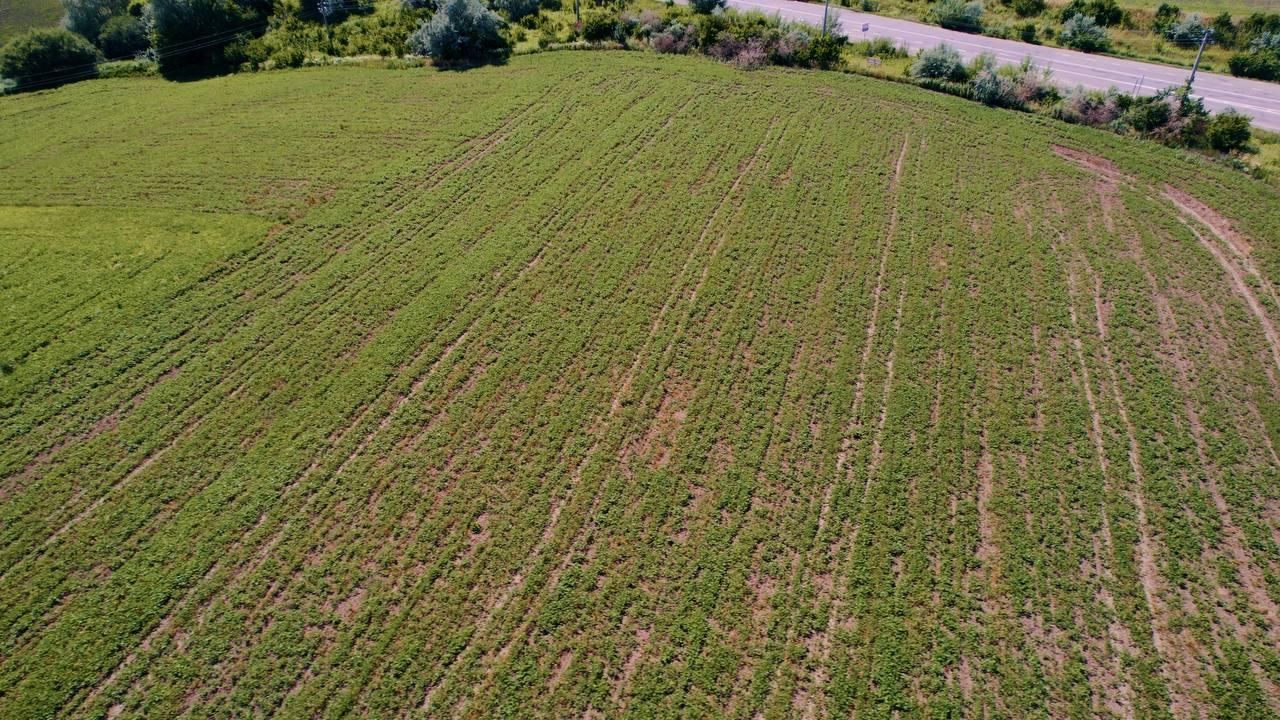 Продаж земельної ділянки під будівництво.