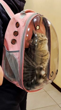 Рюкзак-переноска для котів / переноска для котов / рюкзак-переноска