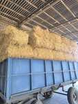 Продам солому в тюках