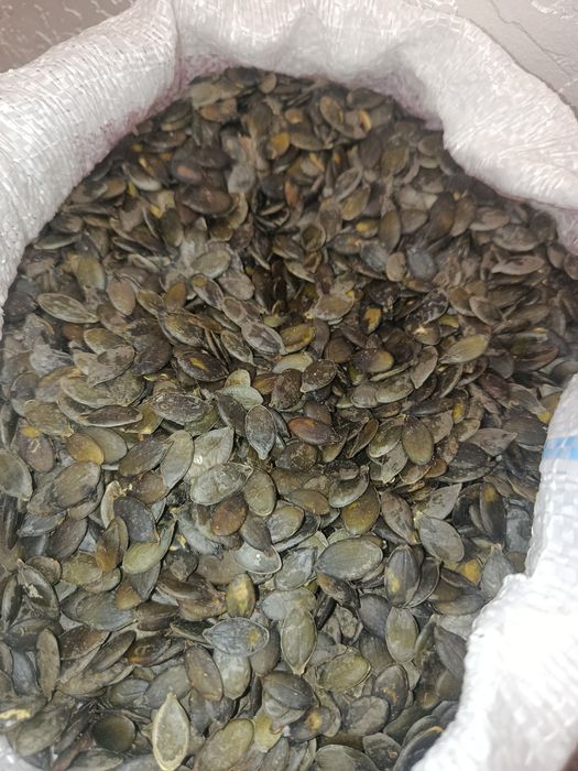 Гарбузове голонасіння