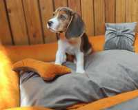 Лежак для собаки. Лежанка 100 х 70 х 20 см. комфортний люкс відпочинок
