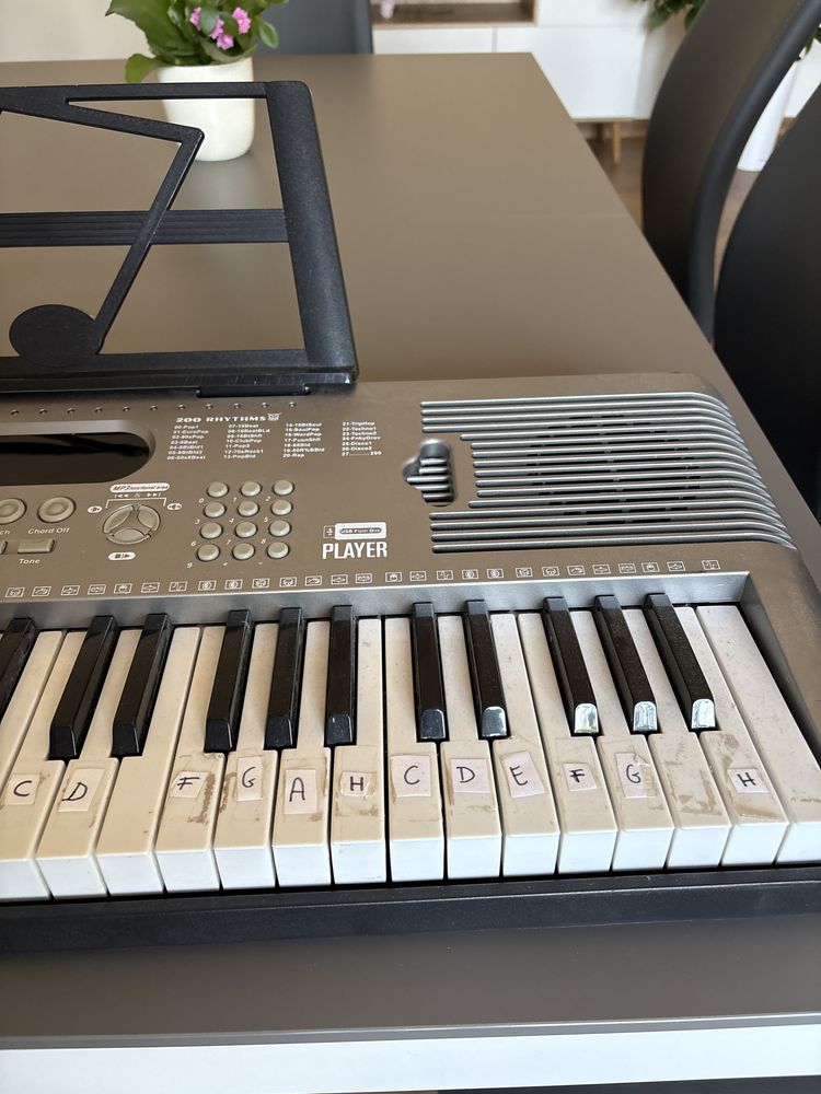 Keybord Player SD-6118