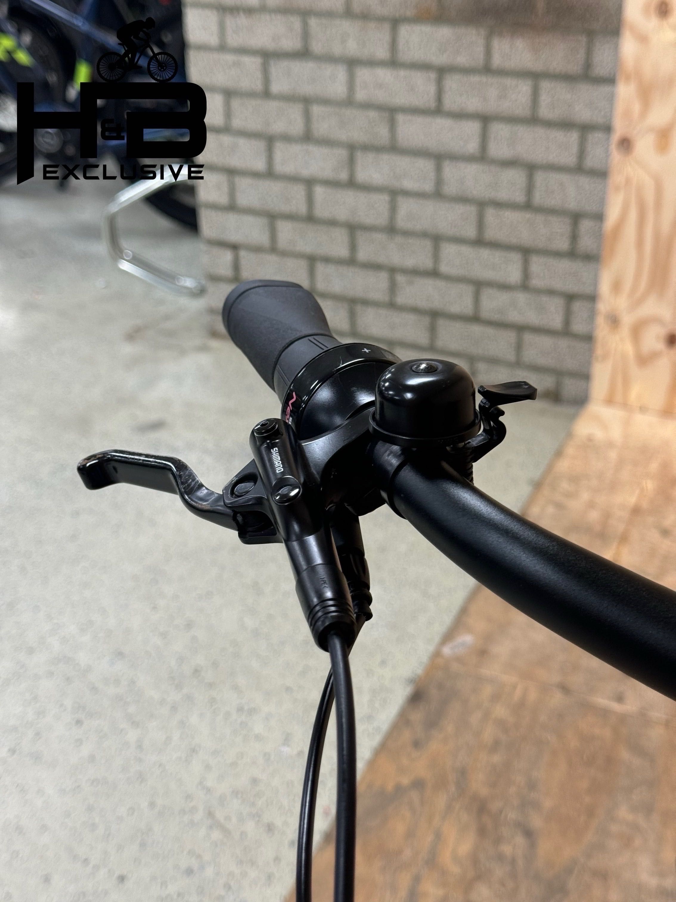 Diamant Beryll Deluxe+ Shimano Nexus 2023