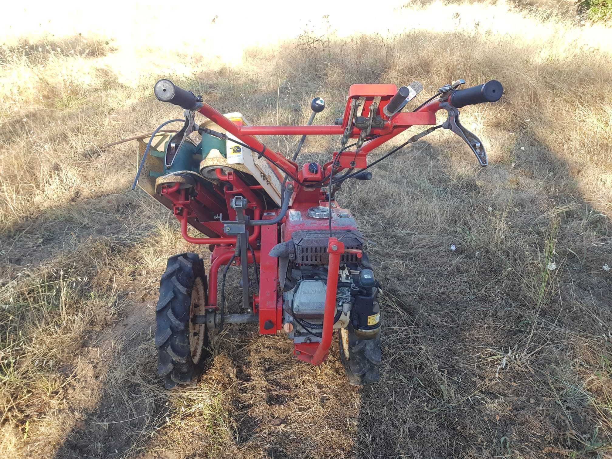 Máquina de apanhar feijão / Colhedora de feijão Yanmar YBR450 Japonesa