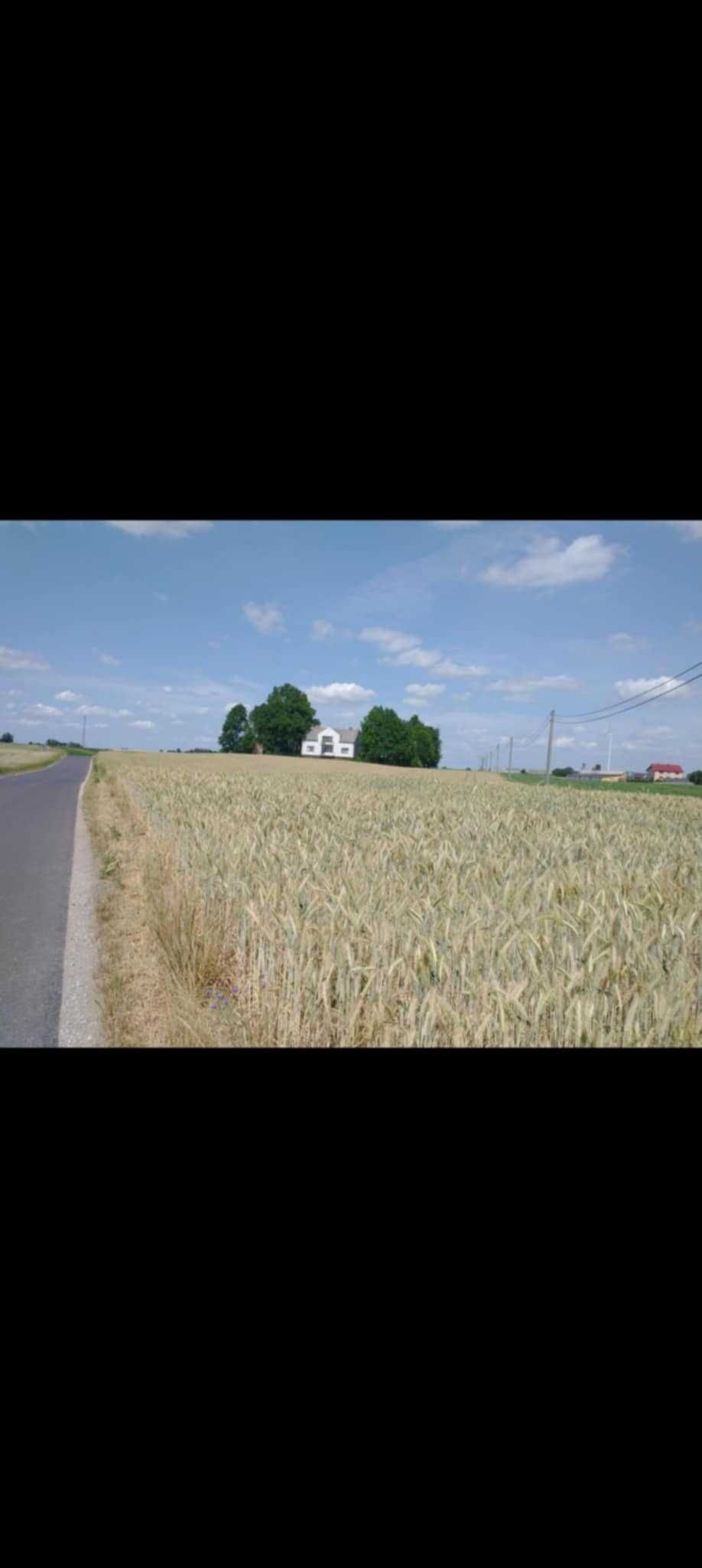 Sprzedam siedlisko nad jeziorem