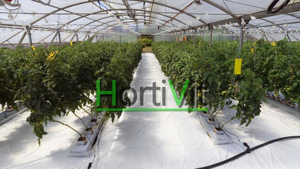 Folia HORTIVIT do ściółkowania i sterowania wegetacją roślin