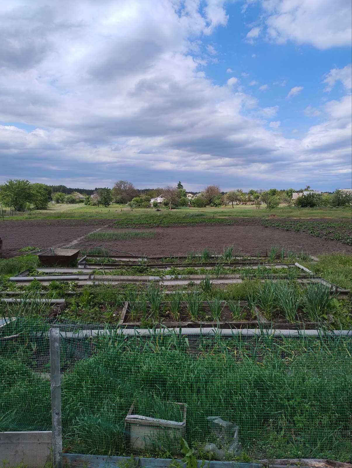 Продаж домоволодіння в селі Руська Поляна