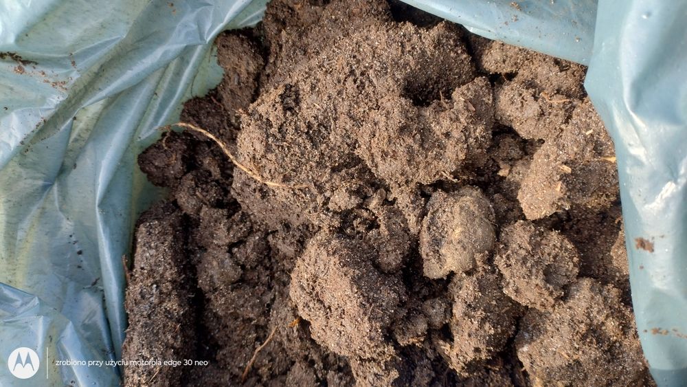 Obornik przekompostowany . Ziemia ,kompost,