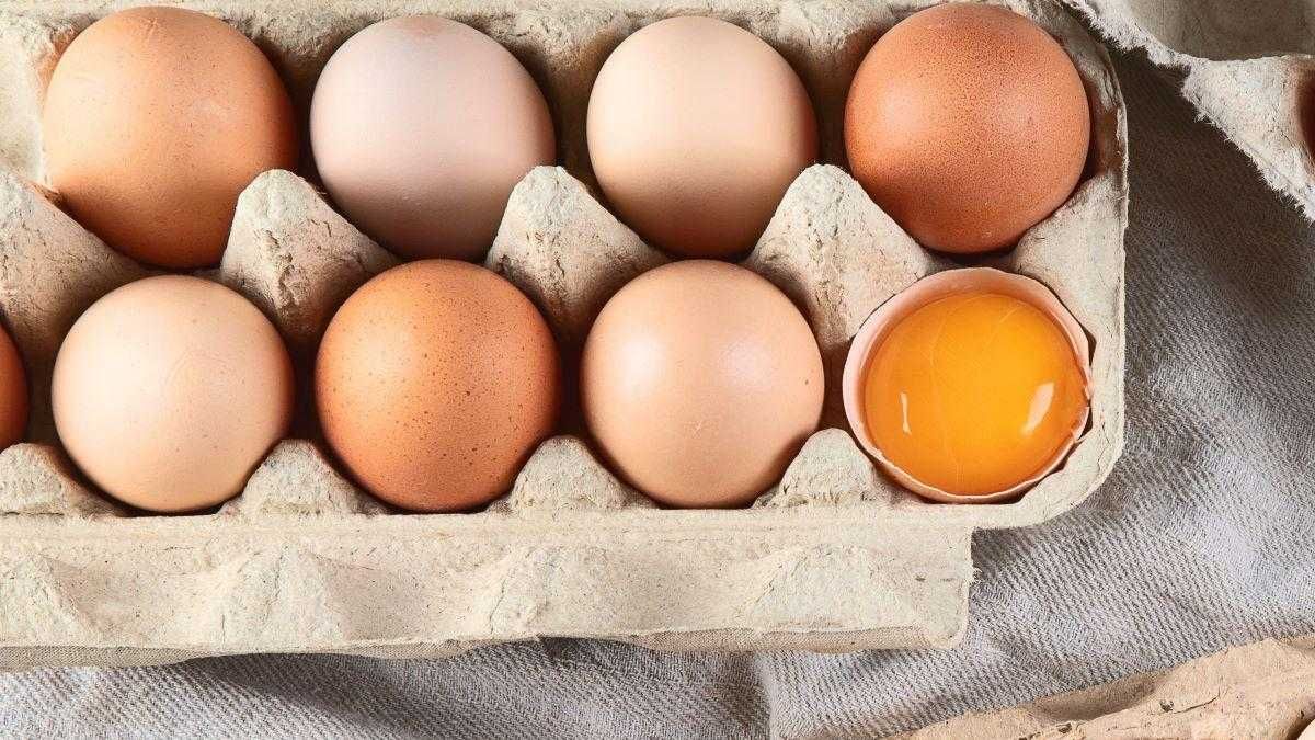 Jajka wiejskie, jaja świeże