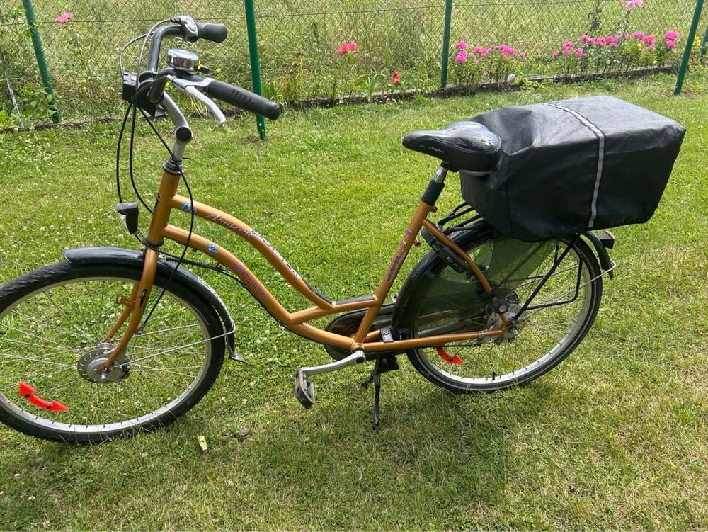 Rower Sparta z koszem