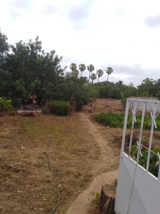 Quinta com Moradia no sitio do Poio - Mexilhoeira Grande