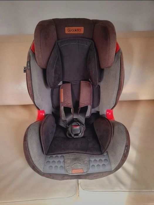 Fotelik samochodowy Coletto Sportivo 9-36 kg