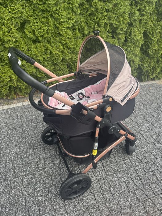 Ekskluzywny wózek dla psa