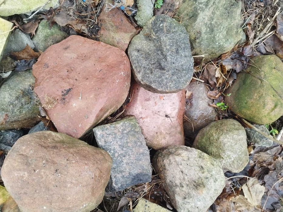 Kamień polny, ogrodowy, skalniak