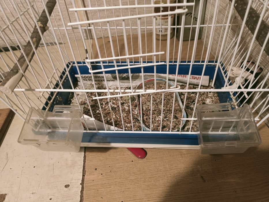 Klatka dla ptaka mała